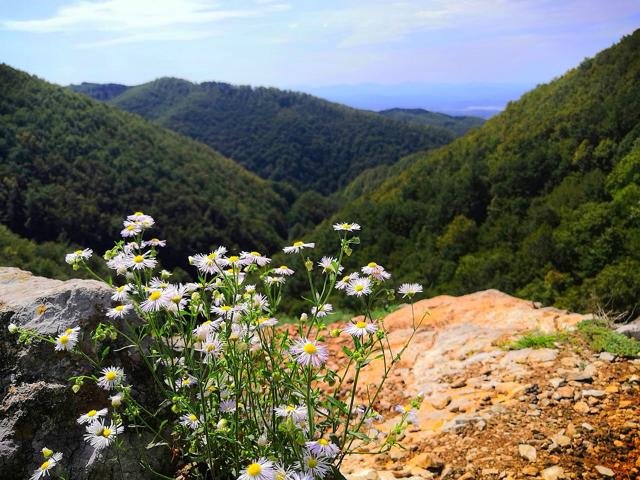 Kozara National Park